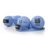 Tune Up Fitness Yoga Tune UP Therapy Ball Pair Plus In Tote