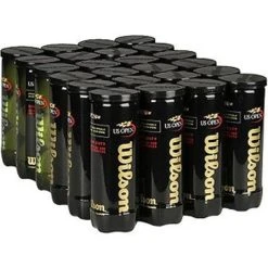 Wilson US Open Regular Duty Tennis Balls CASE